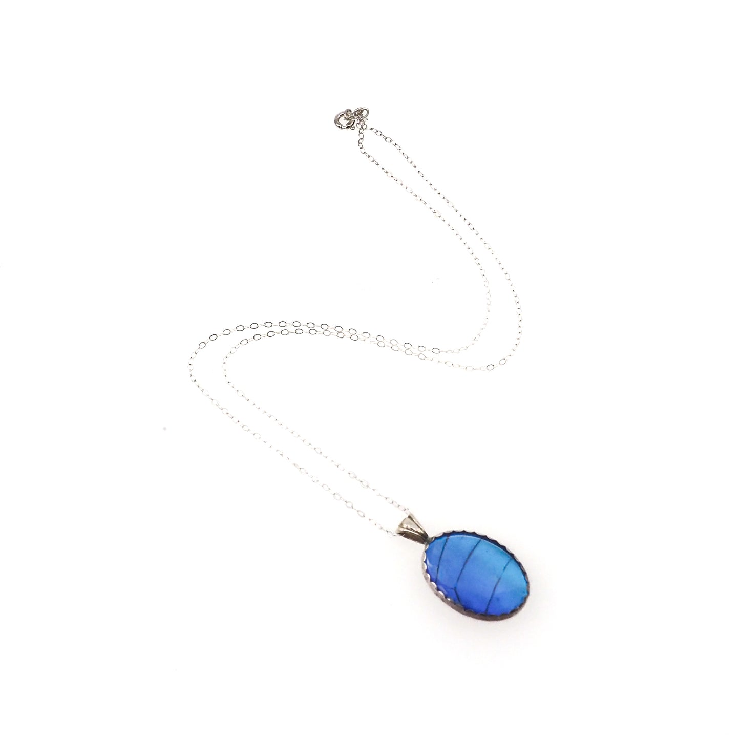 Vintage 1960s Morpho Blue Butterfly Wing and Sterling 18" Necklace