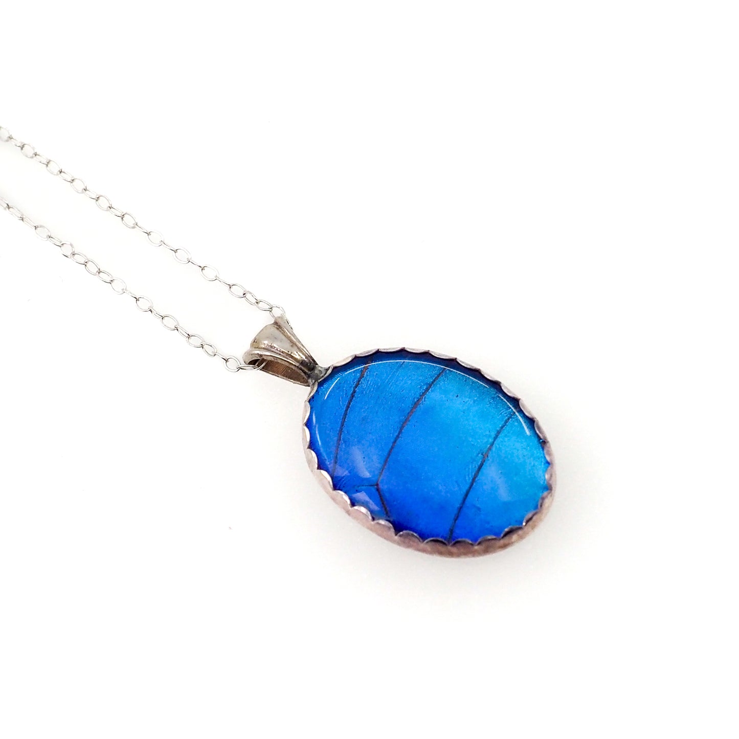 Vintage 1960s Morpho Blue Butterfly Wing and Sterling 18" Necklace