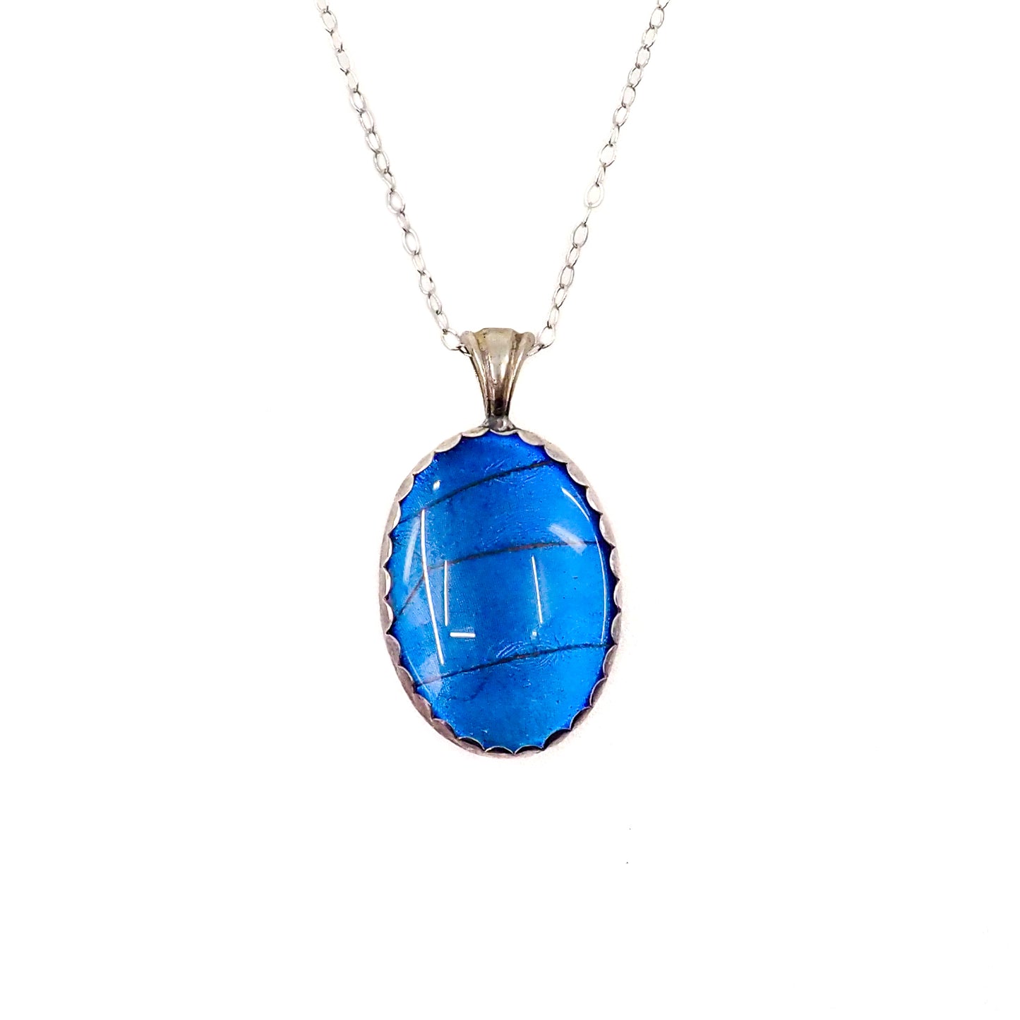 an oval blue pendant necklace with butterfly wing