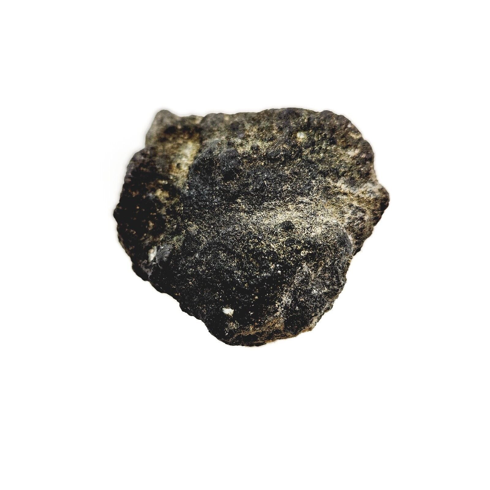 Kimberlite Rock Sample from Diamond Bearing Area CO/WY Border