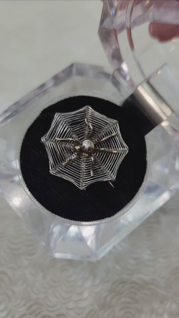 Antique 1900s Late Victorian 800 Silver Spider in Web Halloween