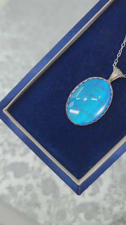Vintage 1960s Morpho Blue Butterfly Wing and Sterling 18" Necklace